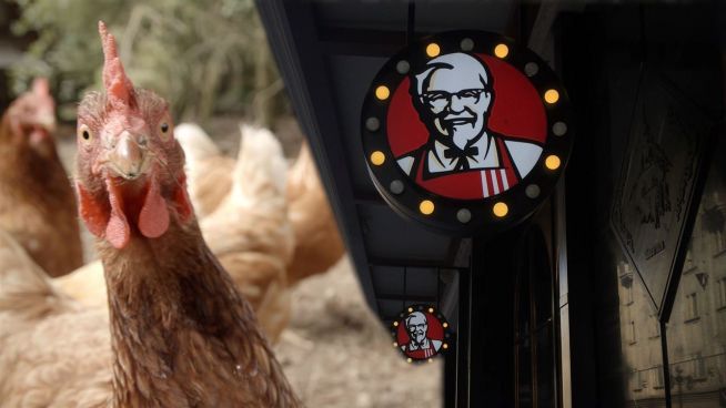 Beyond Meat: KFC testet fleischlose Chicken Wings