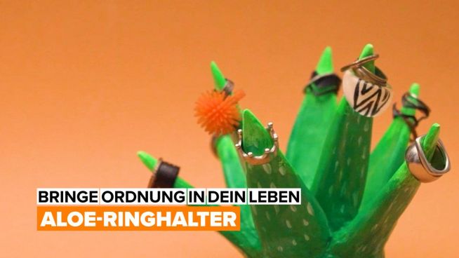 Bringe Ordnung in dein Leben: Aloe-Ringhalter