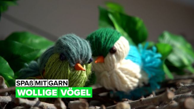 Spaß mit Garn: Vögel aus Wolle