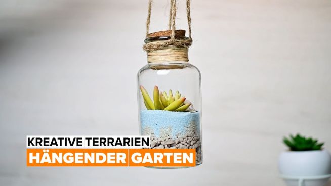 Kreative Terrarien: hängender Garten